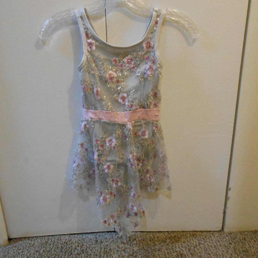 Girl's Homemade Dress-up Dance/Princess Costume